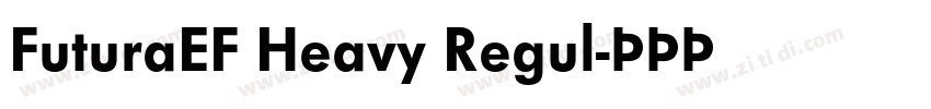 FuturaEF Heavy Regul字体转换